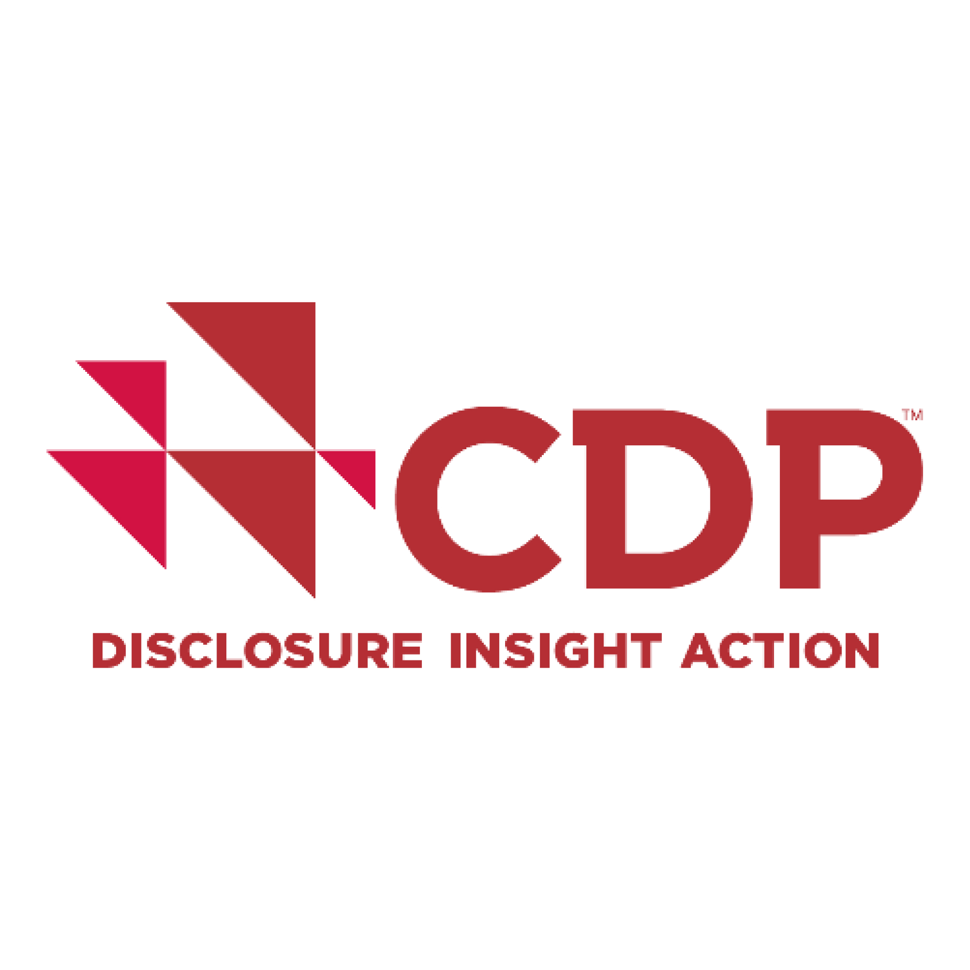 CDP logo