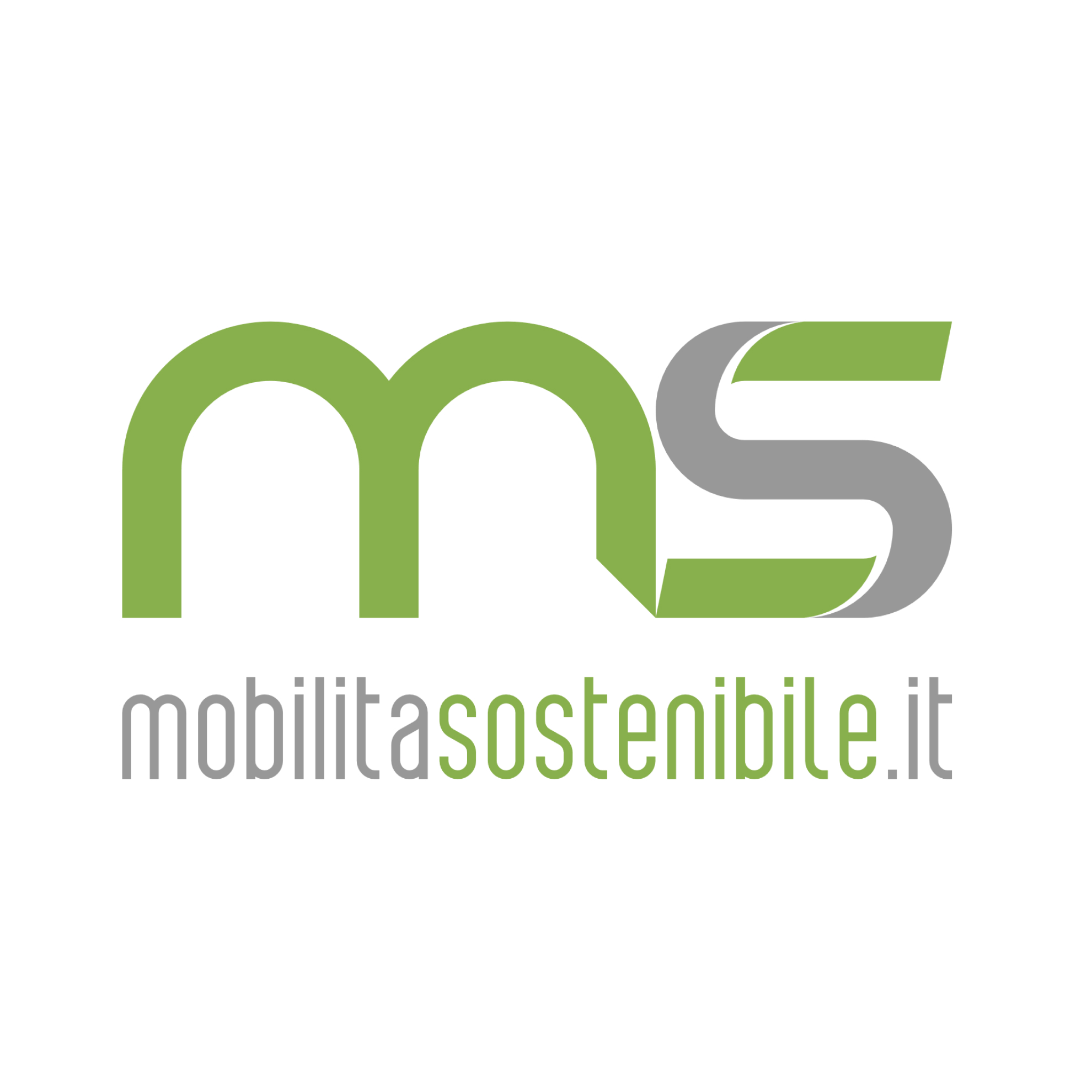 MS IT logo