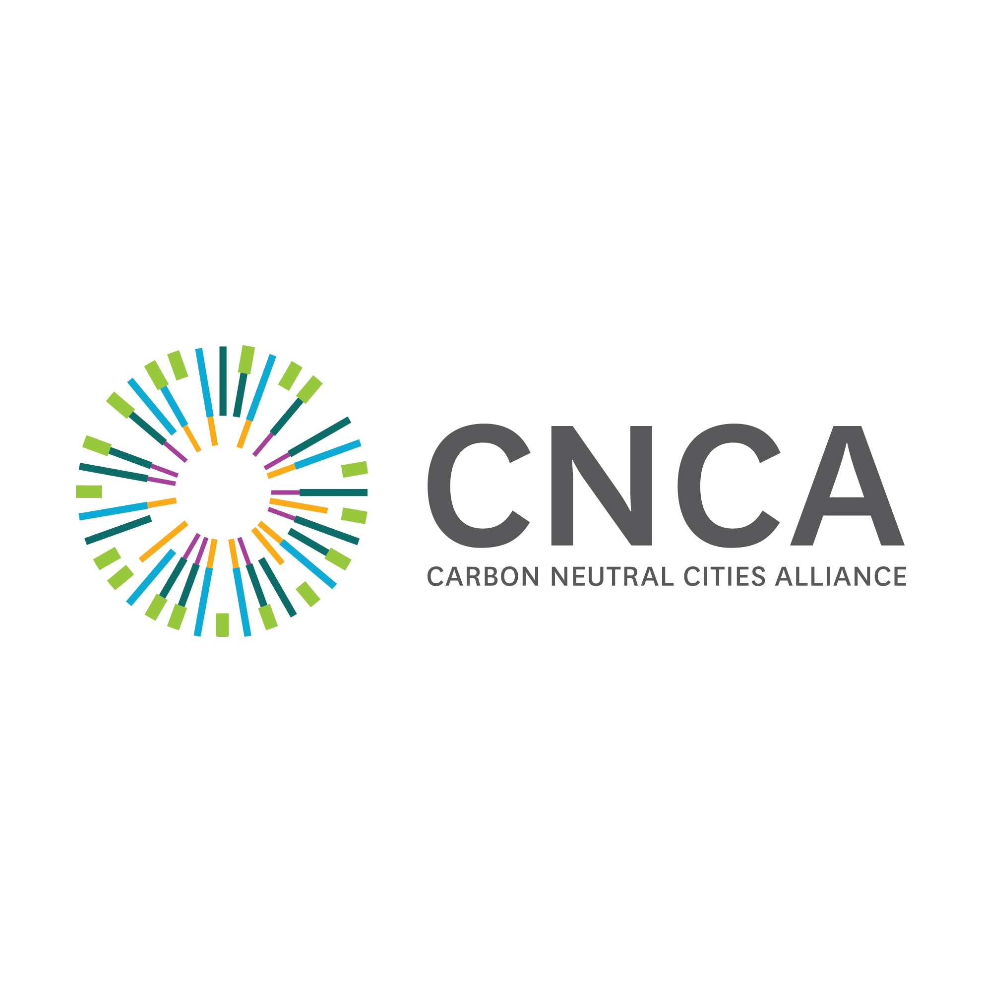CNCA logo